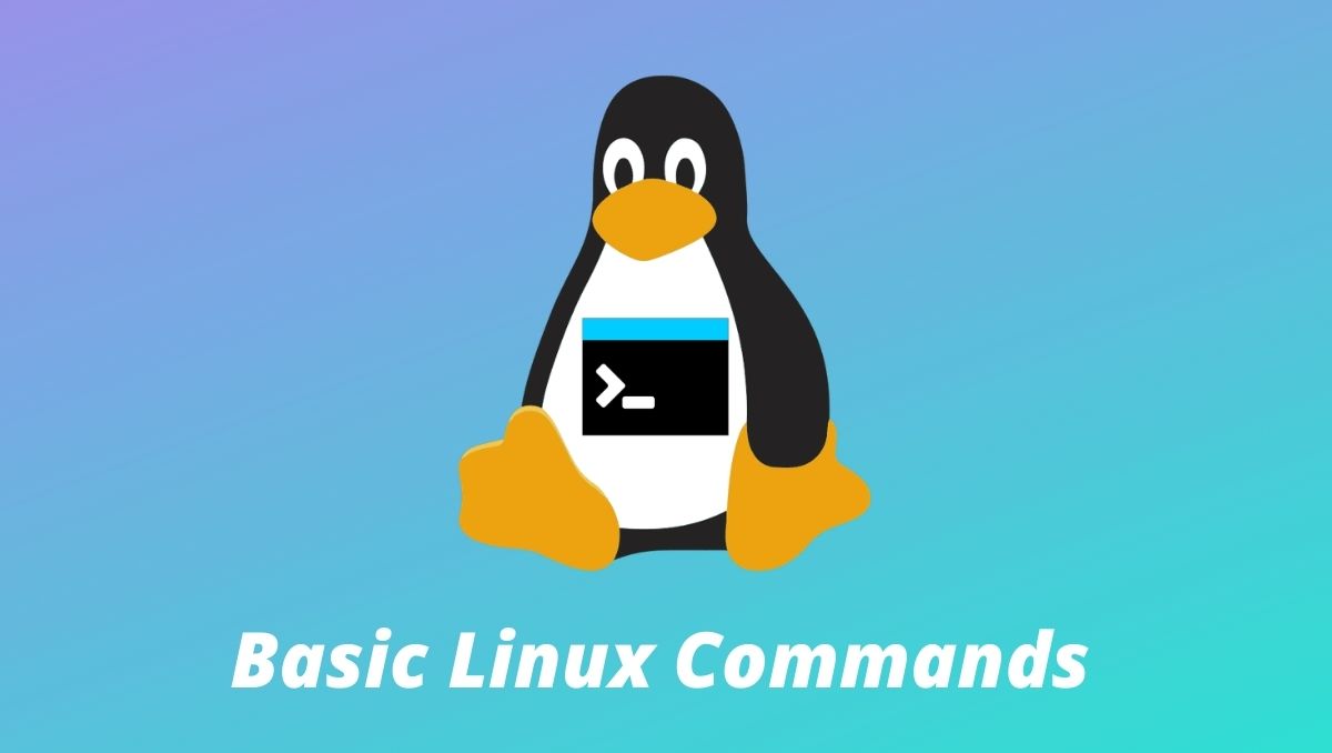 Basic-Linux-Commands